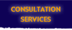 Consultation Services